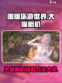 无限暖暖大喵相机获取攻略-cat🎮