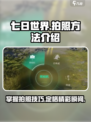 七日世界拍照按哪个键介绍