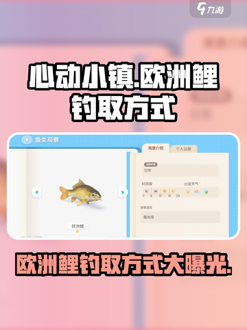 心动小镇🔥欧洲鲤钓取方式大揭秘！🐟截图1
