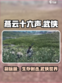 燕云十六声🔥不是吃鸡！那它到底是什么类型游戏？
