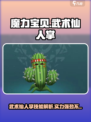 魔力宝贝🔥武术仙人掌技能实力分析来啦！