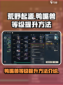 荒野起源鸭嘴兽等级怎么提升介绍