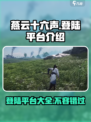 燕云十六声🔥超燃登陆平台大曝光！游戏迷必看👇