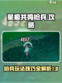星痕共鸣枪兵攻略介绍