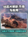 代号56芯片在哪里用介绍