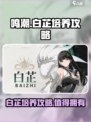 鸣潮🔥白芷培养超全攻略来了！不肝不氪必备✨