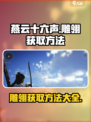 燕云十六声雕翎怎么获取介绍