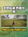 荒野起源养猪怎么养介绍