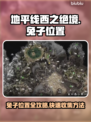 地平线西之绝境🐰隐藏兔子位置全攻略✨