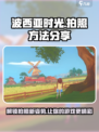 波西亚时光手游📷怎么拍照？超全拍照方法分享！