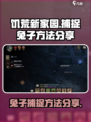 饥荒新家园兔子怎么捕捉介绍