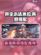 异尘达米拉阵容搭配介绍