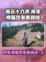 燕云十六声将军祠猫戏采集路线指南介绍