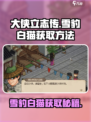 大侠立志传大梁城雪豹怎么获得介绍