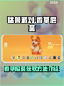 猛兽派对香草尼莫获取🔥超简单方法🎉