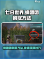 七日世界蜂团团刷取方法介绍