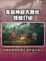 龙息神寂大酋长怎么玩介绍