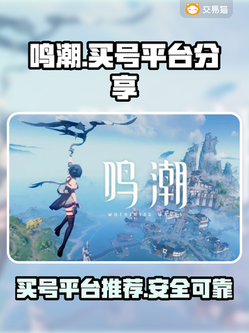 鸣潮⚡买号平台大揭秘！玩家必看🔥截图1