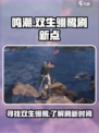 鸣潮双生翎鹭在哪介绍