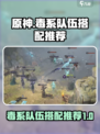 龙息神寂毒系队伍怎么搭配介绍