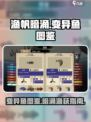 渔帆暗涌变异鱼有哪些介绍