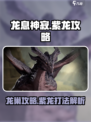 龙息神寂龙巢攻略介绍