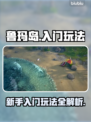 鲁玛岛🔥入门必看！新手玩法全攻略🎉