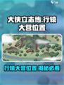 《大侠立志传》行辕大营位置🔥超详细分享！🎮
