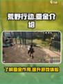 荒野起源亚金是什么介绍