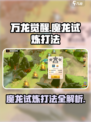万龙觉醒🔥魔龙试炼打法超详细解析🎉