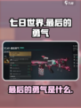 七日世界最后的勇气是什么介绍