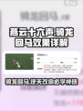 燕云十六声骑龙回马好用吗介绍