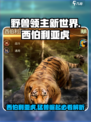《野兽领主新世界》西伯利亚虎🔥角色强度全面解析！