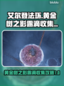 艾尔登法环🔥全黄金树之影露滴收集攻略✨