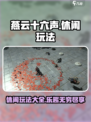 燕云十六声🔥超全休闲玩法大揭秘！你玩过几种？