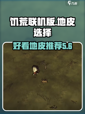 饥荒联机版好看的地皮有哪些介绍截图1