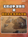 无烬战争🔥发售价格曝光！多平台任你选🎮