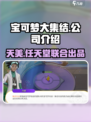 宝可梦大集结哪个公司的介绍
