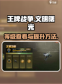 王牌战争等级在哪里看介绍