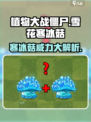 植物大战僵尸杂交版雪花寒冰菇怎么样介绍