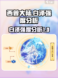 西普大陆白泽怎么样介绍