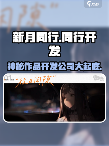 新月同行开发公司介绍介绍截图1
