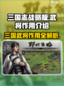 挂出个三国武将是什么介绍