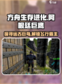 方舟终极移动版阿根廷巨鹰在哪介绍