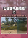七日世界怎么拍照介绍
