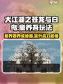 大江湖之苍龙与白鸟🔥童养吾玩法攻略超详细！