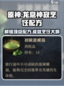 原神：龙息神寂烹饪配方大公开！🔥
