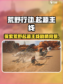 荒野起源主线剧情介绍介绍