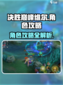 决胜巅峰维尔介绍