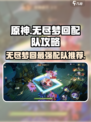 无尽梦回配队介绍介绍